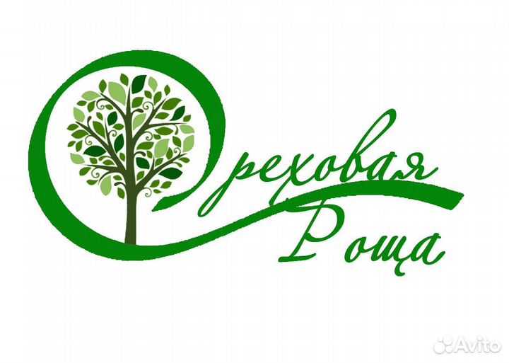 Администратор гостиницы