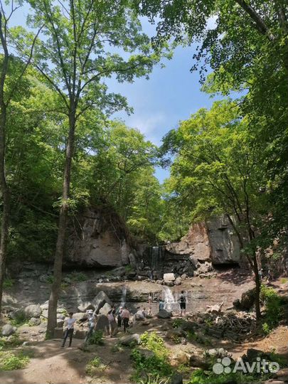 3 в 1. Белый Лев, Кравцовские вод, Земля Леопарда