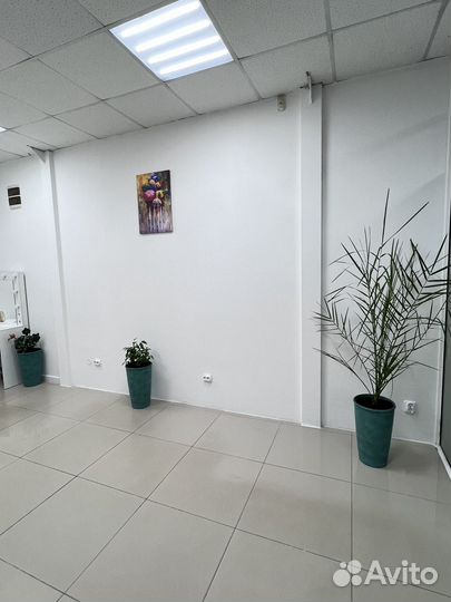 Ищем мастеров Субаренда Бровист,афронаращивание