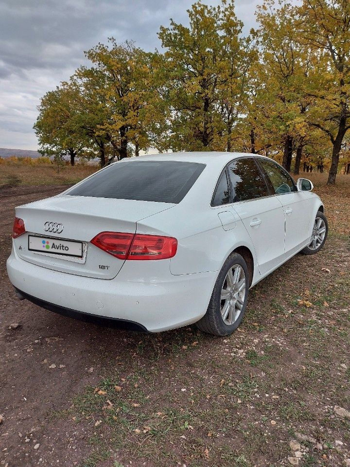 Audi A4: фото владельца
