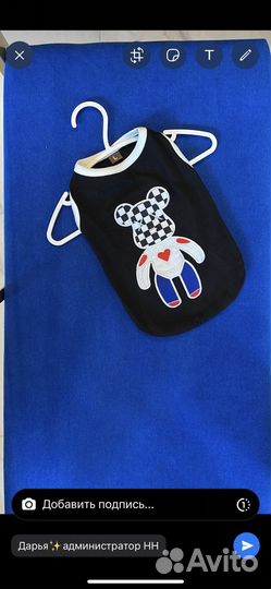 Одежда для собак