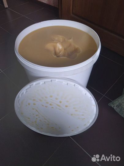 Мёд,Мед донник