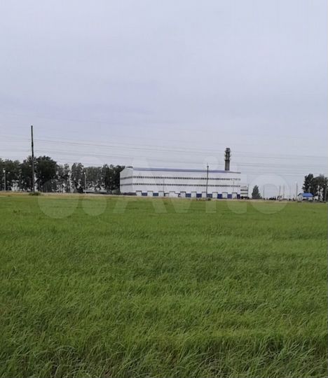 Участок 25 сот. (ИЖС)