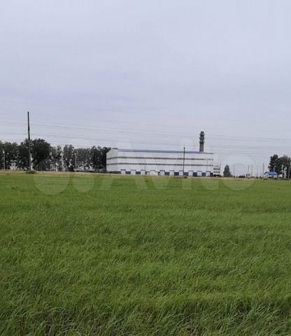 Участок 25 сот. (ИЖС)