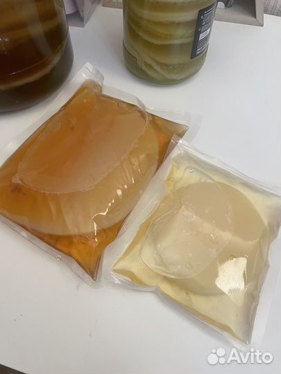 Чайный гриб Комбуча Джун Jun