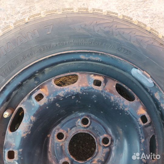 Nordman 7 175/65 R14 86