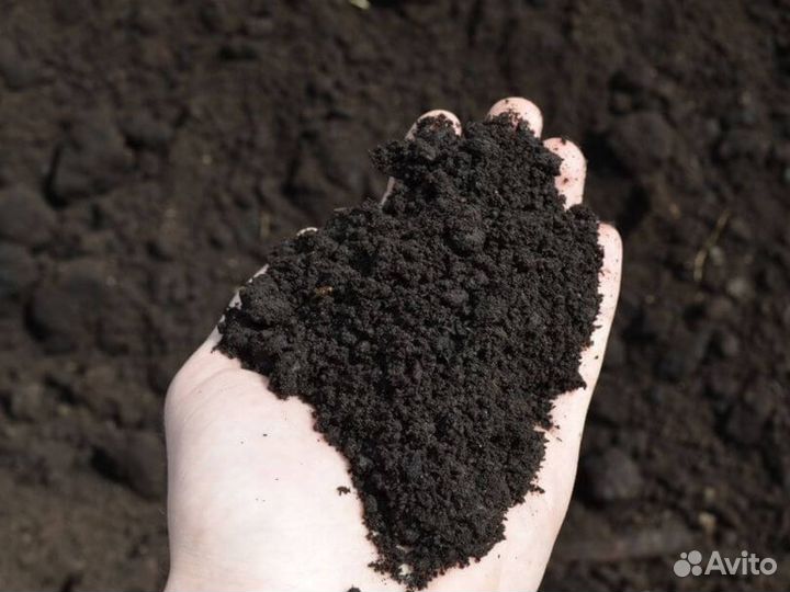 Плодородный грунт в наличии. Раево