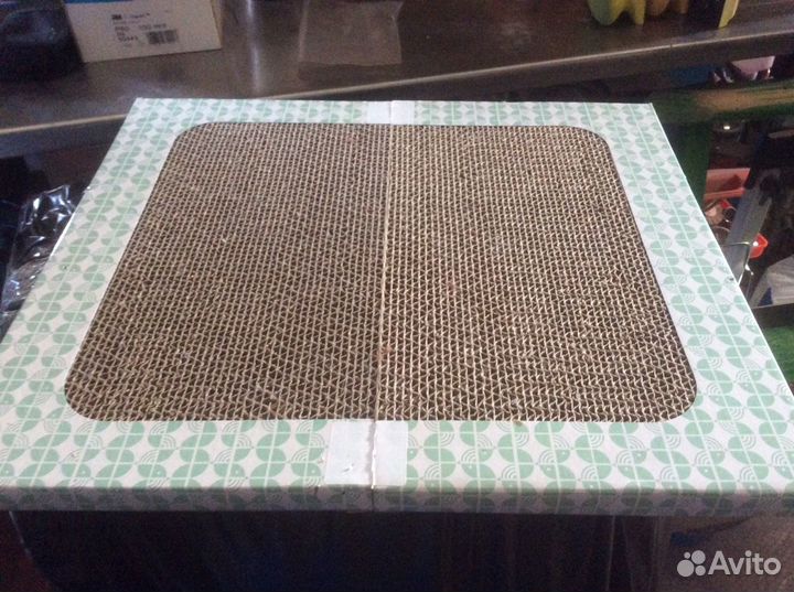 Когтеческа