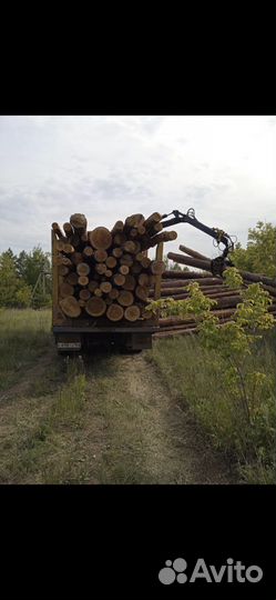 Лес кругляк сосна пиловочник