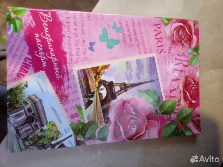 Декоративные кролики домашний мини