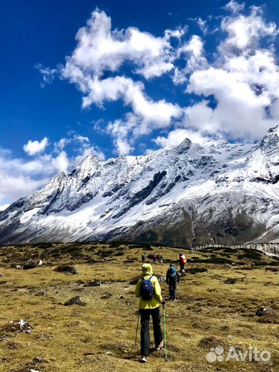 Авторский тур в Непал. Цветущие рододендроны