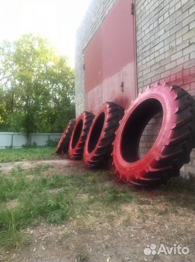 Аренда спортивного оборудования