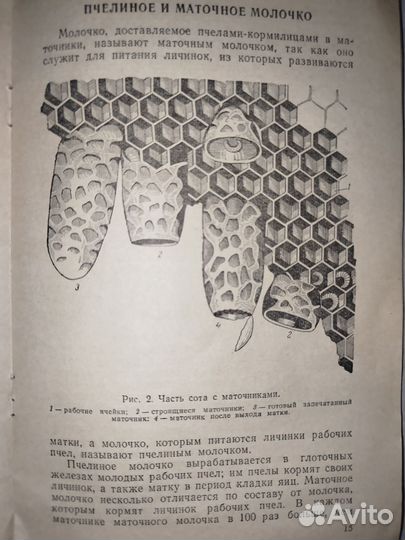 О лечении пчелиным ядом, мёдом и маточным молоком
