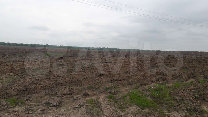 Участок 500 га (СНТ, ДНП)