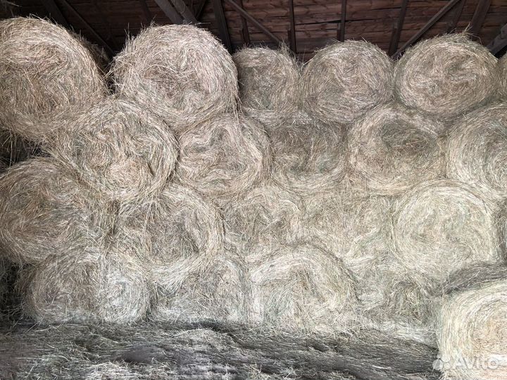 Сено 2023 года в рулонах