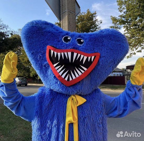 Аниматоры на выезд