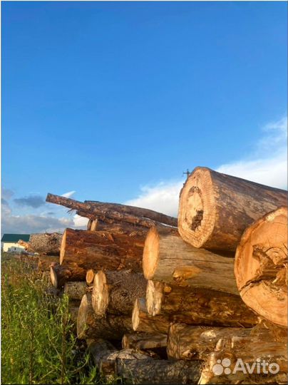 Колотые осиновые дрова