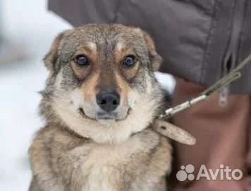 Муся мечтает о доме и любимом человеке