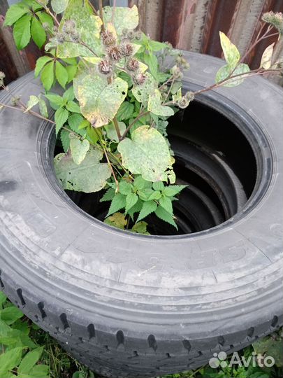 Продам резину Continental 315 * 70 R22,5