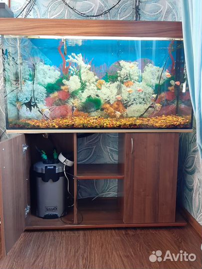Аквариум 280 л
