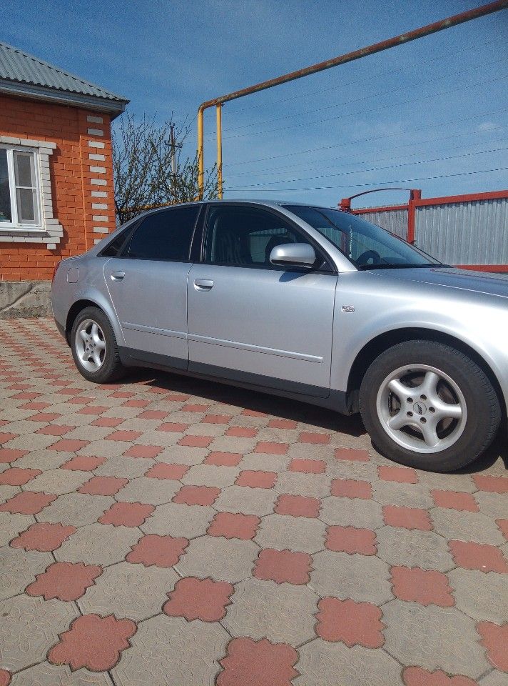 Audi A4: фото владельца
