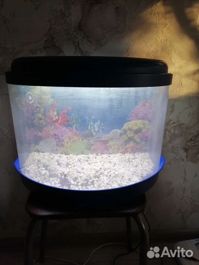 Аквариум