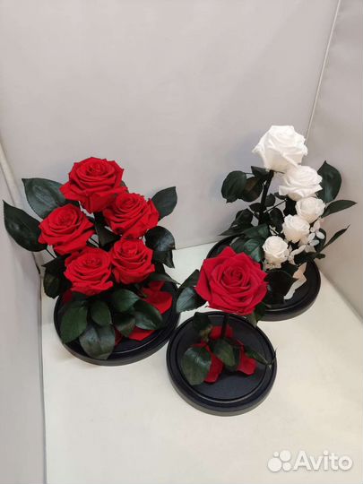 Роза в колбе оптом