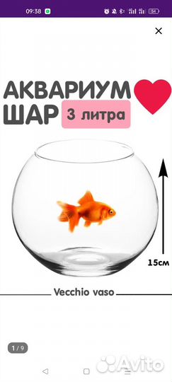 Аквариум шар