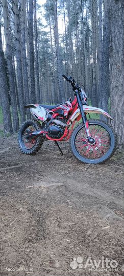 Progasi super max 300