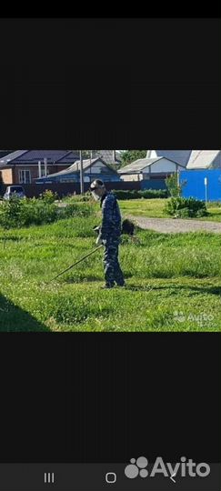 Спил деревьев