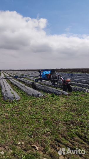 Опрыскиватель садовый