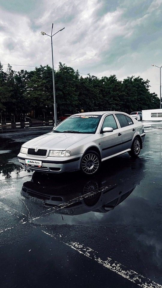 Skoda Octavia: фото владельца
