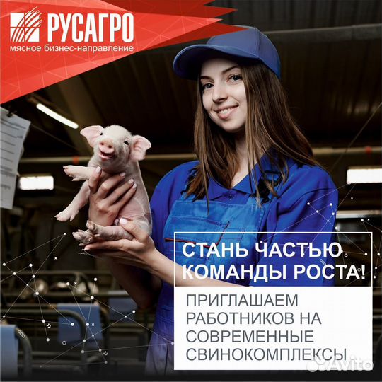 Работник современного свиноводческого комплекса