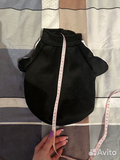 Костюм для собаки