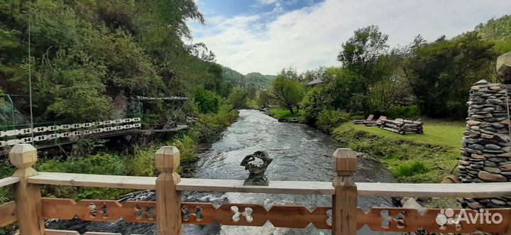 Отзыв об Алтае