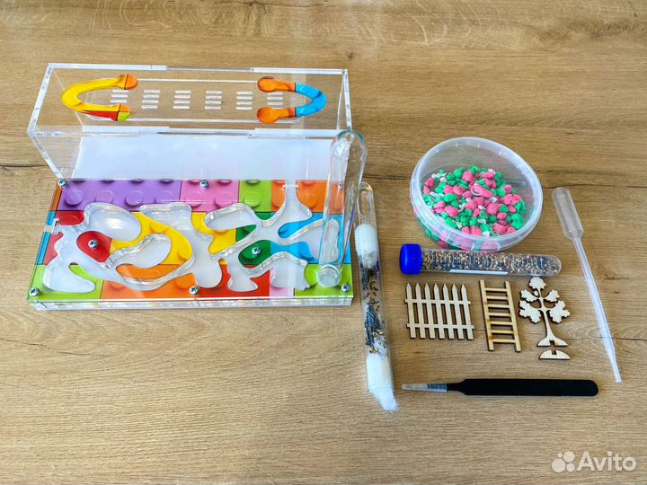 Муравьиная ферма 