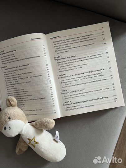 Книга-дневник 