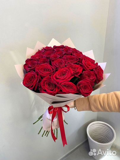 Розы красные премиум