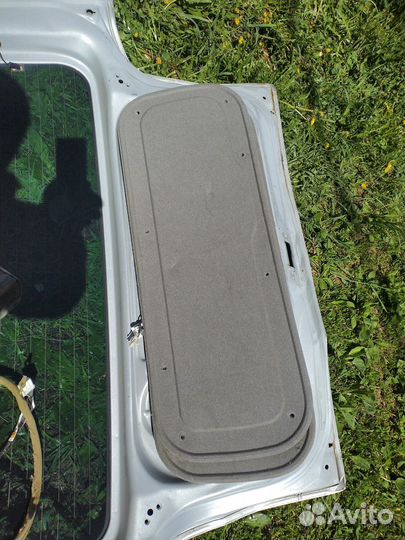 Дверь багажный