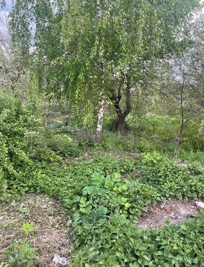 Участок 6 сот. (СНТ, ДНП)