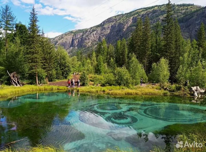 Поездка в Горный Алтай на 6 ночей