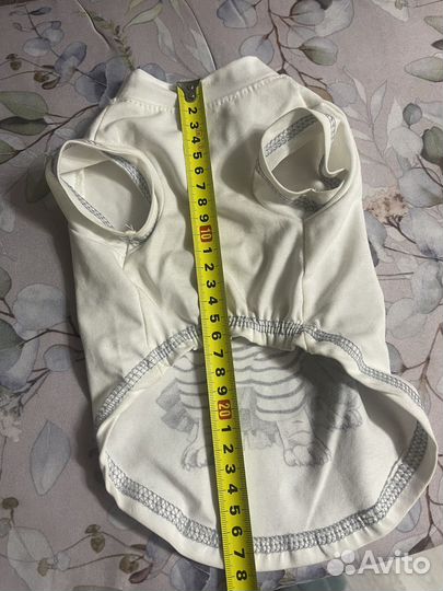 Одежда для животных