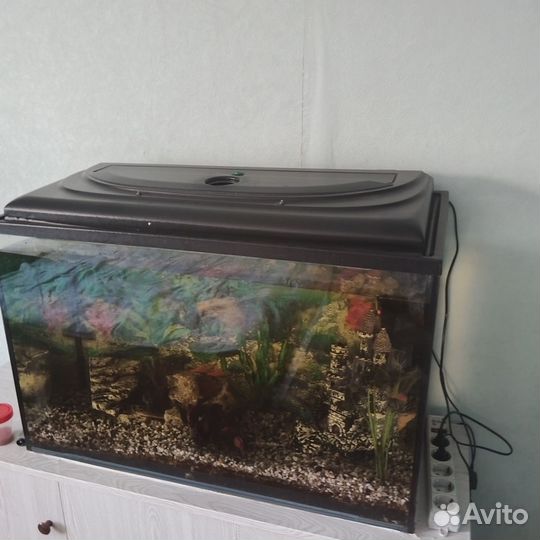 Аквариум