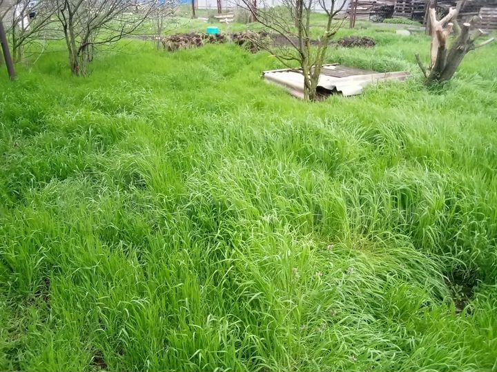 Участок 5 сот. (ИЖС)