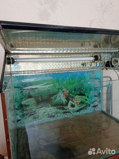 Аквариум