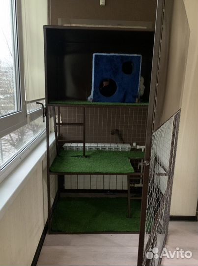 Клетка