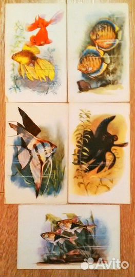 Открытки СССР художника Л. Аристова 1968 г