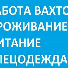 Оператор линии Вахта еда жилье одежда