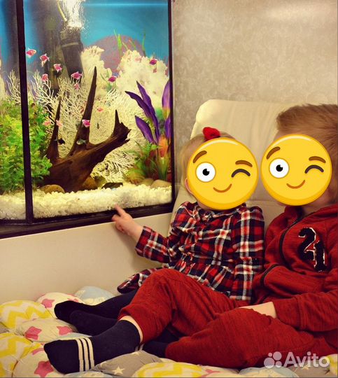 Большой аквариум