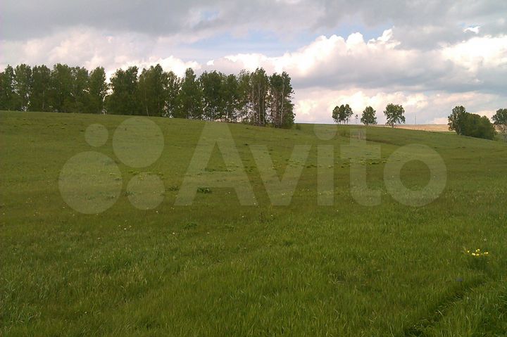 Участок 13,5 га (СНТ, ДНП)